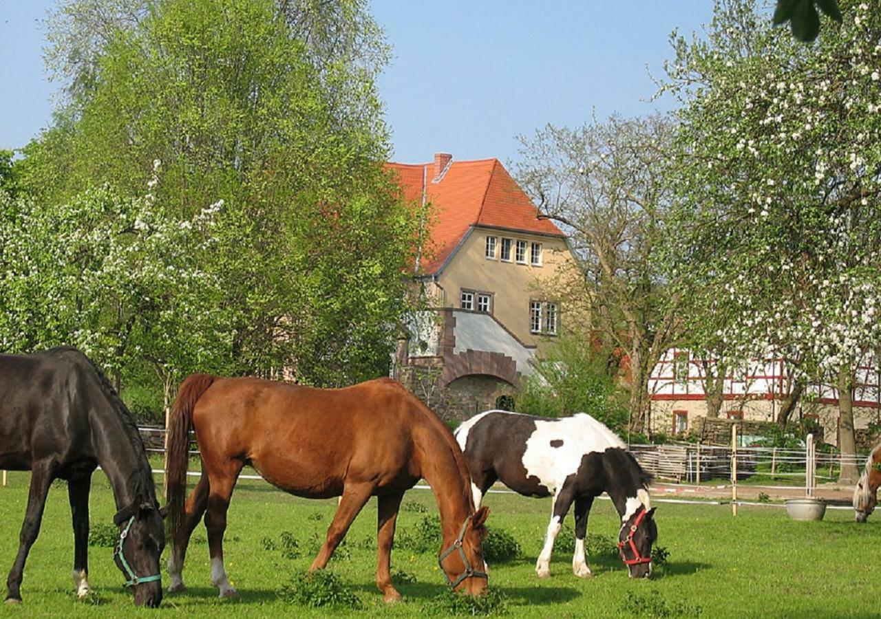Gutshaus Von Bismarck Leilighet An der Schmucke Eksteriør bilde